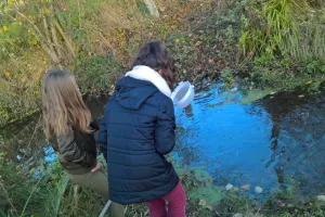Petites bêtes aquatiques