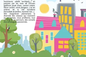Matinée découverte des oiseaux