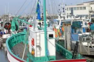 Visite guidée : le sardinier "Au Gré des Vents"