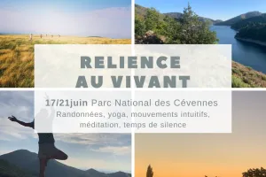 STAGE RELIENCE AU VIVANT