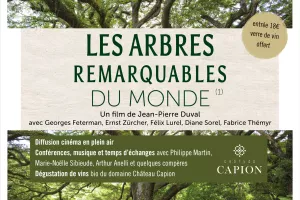 CINEMA EN PLEIN AIR "ARBRES" AU CHATEAU CAPION