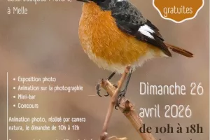 Exposition photo nature