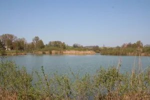 L'été aux Tourbières