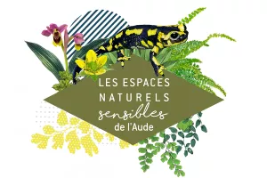 ENS - L’EAU, CE TRÉSOR OUBLIÉ !