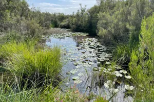 Visite découverte de la réserve