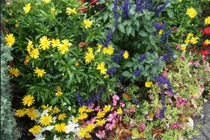 Marché aux fleurs et plants à Sainte Eulalie d'Olt