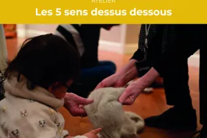 Les 5 sens dessus dessous