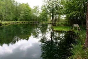 Sortie nature à Vesles-et-Caumont : "Découverte de la réserve"