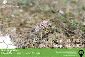 Partez à la découverte de la Réserve Naturelle du Courant d'Huchet