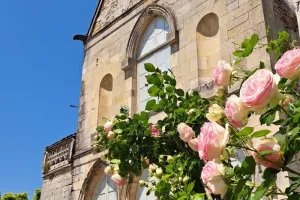 Visite guidée : "Senlis au temps des rois de France"