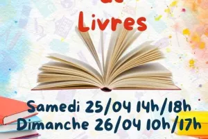 Brocante de livres