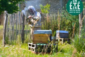 À la rencontre des producteurs - La miellerie Paysages de Miels