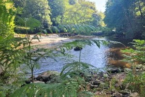 Balade bien-être au fil de l'eau - Août