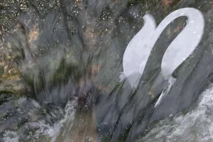 Festival d'histoire naturelles en Côte d'Or -1e édition
