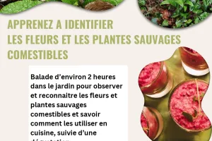 Les fleurs et les plantes sauvages comestibles