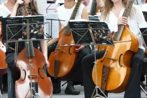 Festival de viole de gambe