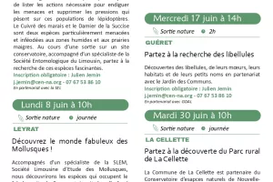 Sortie Nature