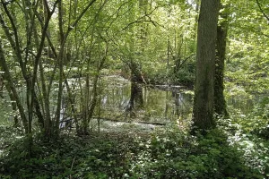 Vendredis "nature" : de l'argile au pot