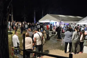 Grand festival de danses des îles