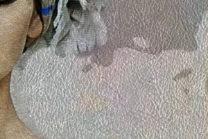 Conférence : Le bonheur d’être soi à la manière de George Sand