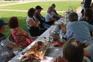 VIGNES VINS APERO