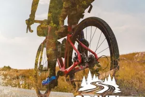 Gravel Berry Experience