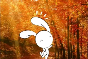 Animation nature en famille : Secret de plantes