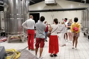 [Visite de cave]: Domaine Eric Louis