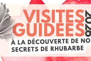 Visites guidées - à la découverte de nos secrets de rhubarbe
