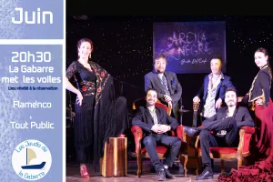 Flamenco - "Senda Del Cielo" Arena Negra