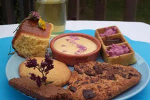 Balade cueillette et goûter nature pour les enfants