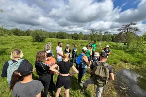 Sortie découverte "Marais des Hauts Buttés"