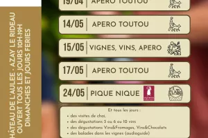 Vignes vins apéro au Château de l'Aulée