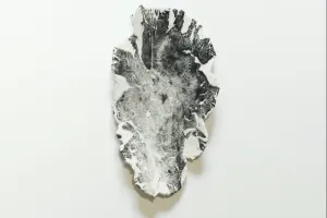 Exposition "Affinités Biomorphiques" - Art Contemporain