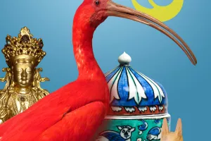 Visite commentée du Musée des Beaux-Arts et d'Histoire Naturelle