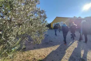 Rencontre avec une oléicultrice au Domaine Plan de Fossan