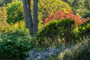 Belles soirées d'été
