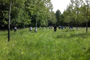 Bushcraft