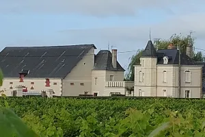 Bourgueil et entrecôte au Domaine des Mailloches