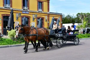 Balade attelée à Carteret