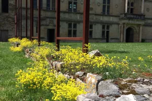 Atelier jardin au Château d'Assier