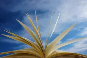 Conférence sur « la bibliothérapie »