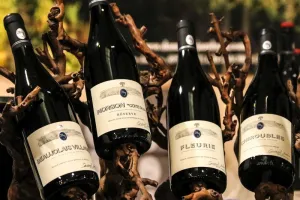 Salon du vin et de la gastronomie à Blois