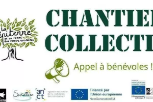 Chantier collectif à la Pépiterre