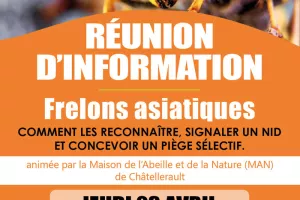 Réunion d'info / frelons asiatiques