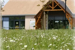 Exposition « Rétrospective 2006-2026 » à Selommes