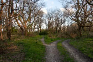 Balade avec nuit à la belle étoile