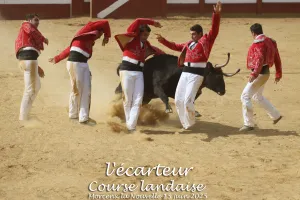 Estivale en Pays Morcenais, "Les arènes en fêtes ! "