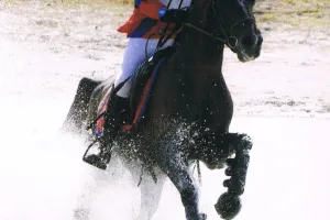 Concours Complet d'Equitation Tournée des As Poneys