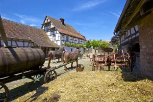 Nuit européenne des musées : Maison Rurale de l'Outre-Forêt